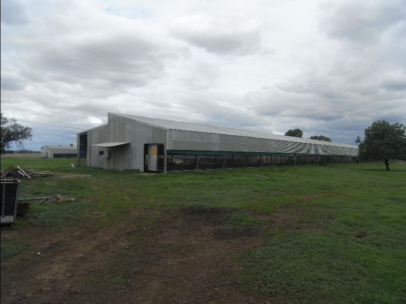 31 Orana Rd, Howlong NSW 2643