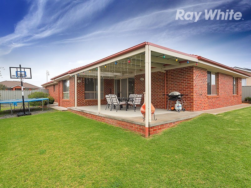 16 Firetail Street, Thurgoona NSW 2640