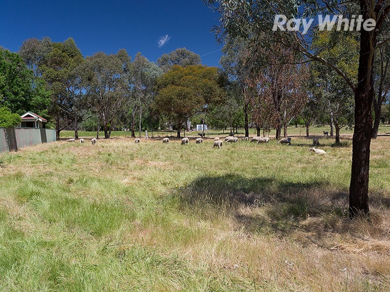11 Colonial Drive, Jindera NSW 2642