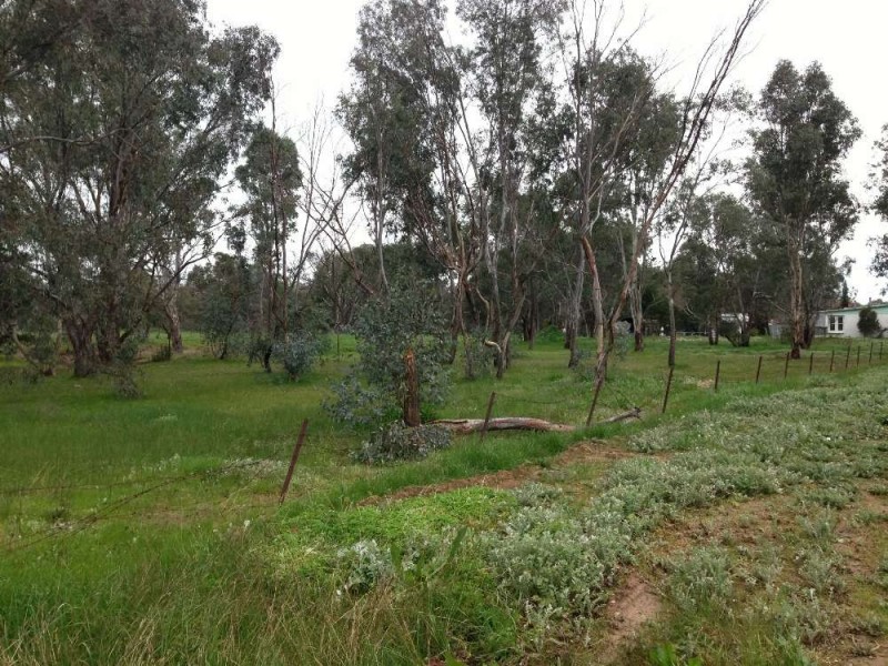 122 Creek Street, Jindera NSW 2642