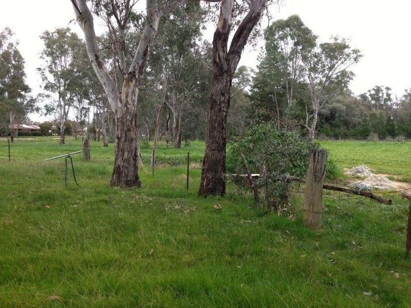 122 Creek Street, Jindera NSW 2642