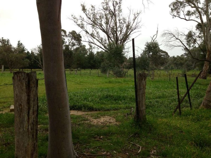 122 Creek Street, Jindera NSW 2642