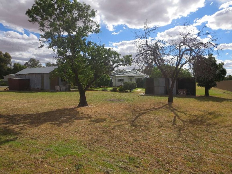 66 Munro Street, Culcairn NSW 2660