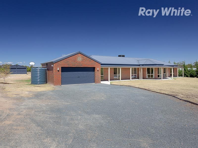 31 Lobbe Road, Thurgoona NSW 2640