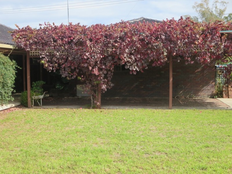 110 Balfour Street, Culcairn NSW 2660