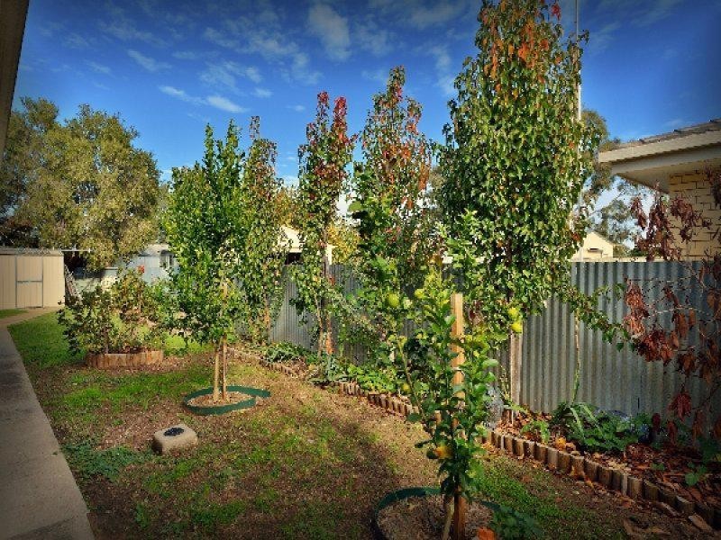 100 Kennedy Street, Howlong NSW 2643