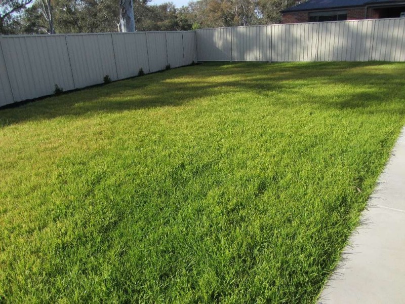 13 Pech Street, Jindera NSW 2642