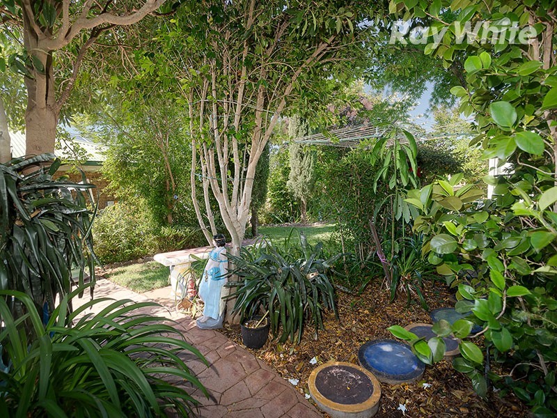 85 Michelle Avenue, Lavington NSW 2641