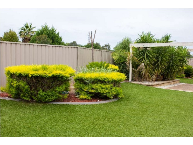 11 Kennedia Street, Thurgoona NSW 2640