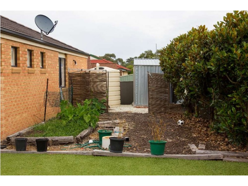 11 Kennedia Street, Thurgoona NSW 2640
