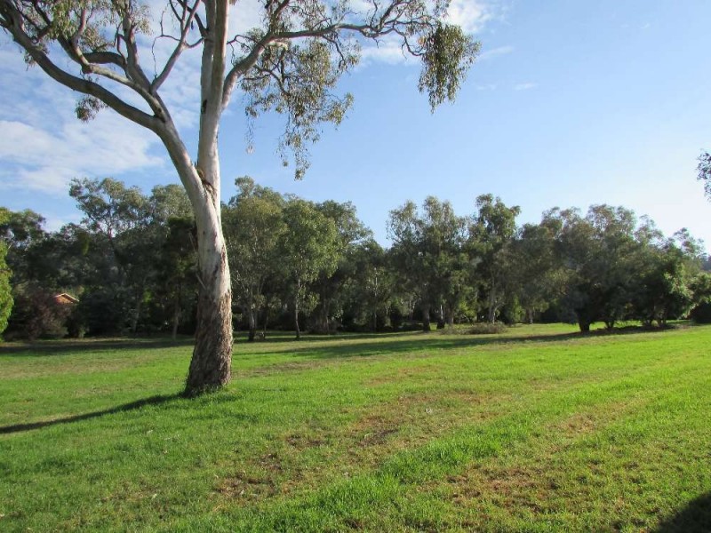 34 Baranbale Way, Springdale Heights NSW 2641