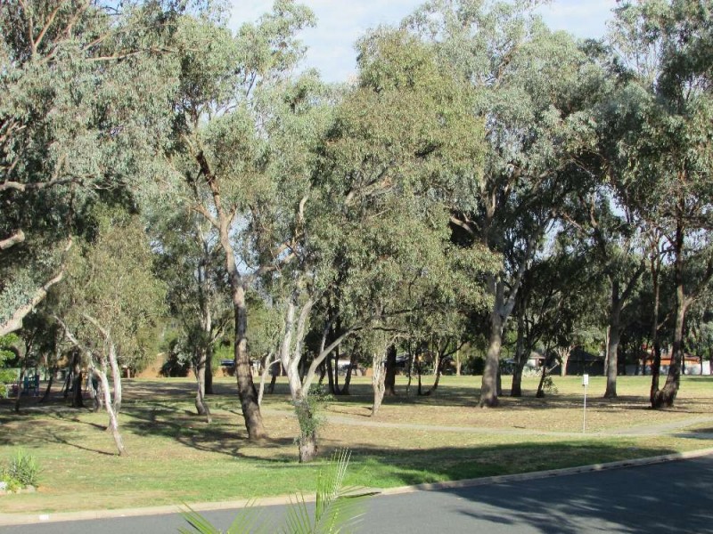 34 Baranbale Way, Springdale Heights NSW 2641