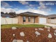 44 Felstead Circuit, Thurgoona NSW 2640