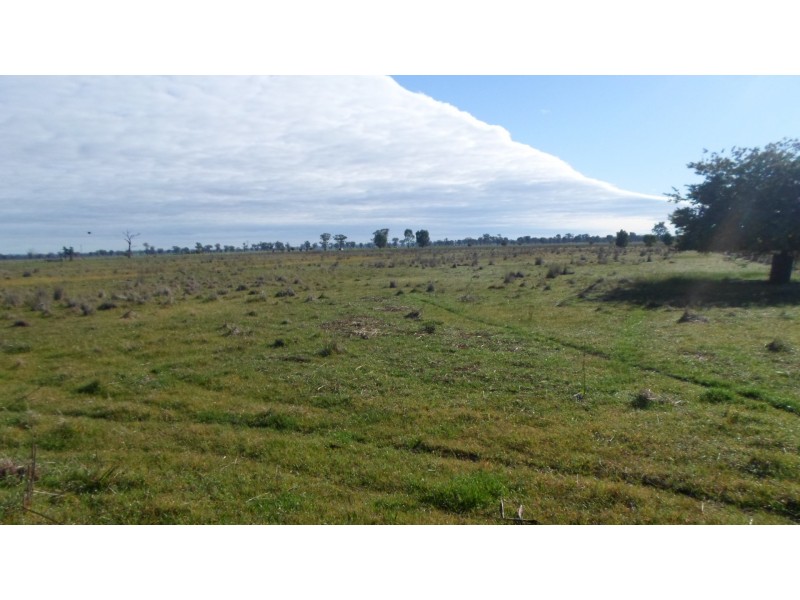 Lot 25 Baird Street, Culcairn NSW 2660