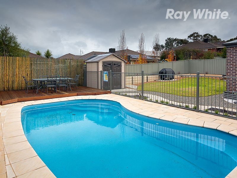 17 Treecreeper Street, Thurgoona NSW 2640