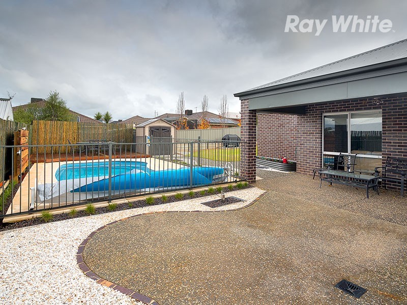 17 Treecreeper Street, Thurgoona NSW 2640