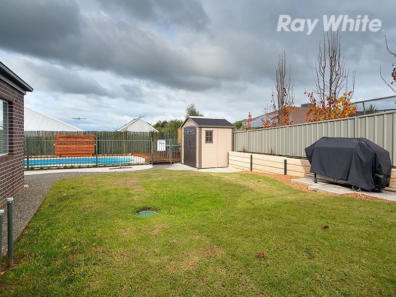17 Treecreeper Street, Thurgoona NSW 2640