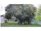 392 Union Road, Lavington NSW 2641