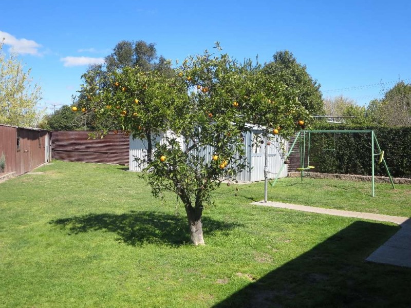 303 Sunshine Court, Lavington NSW 2641