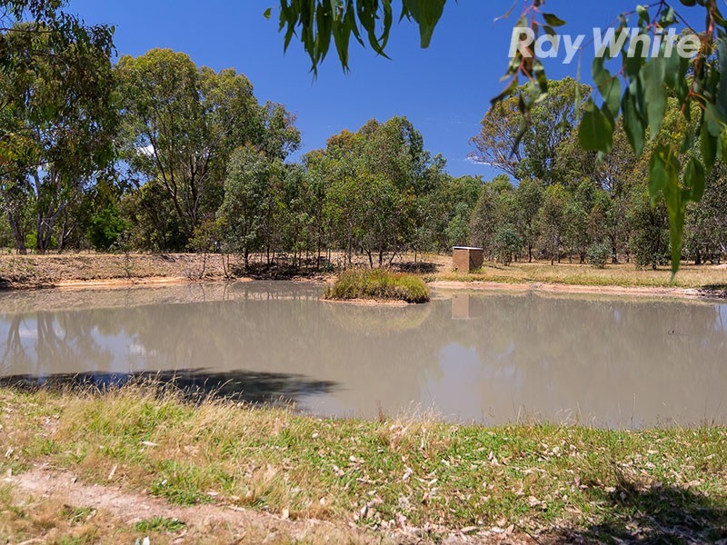 178 Molkentin Road, Jindera NSW 2642