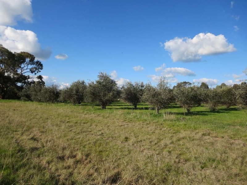 Lot 3 Belmore Street, Howlong NSW 2643