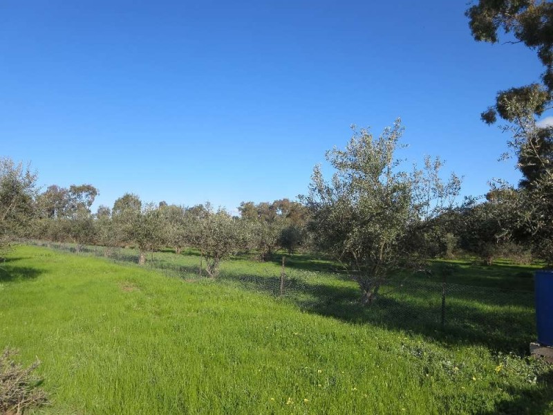 Lot 3 Belmore Street, Howlong NSW 2643