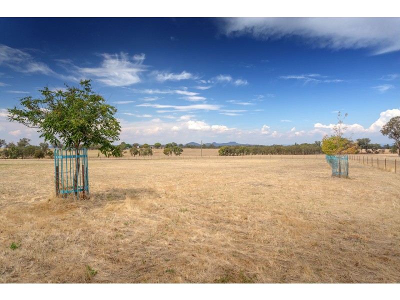 576 Glenellen Road, Glenellen NSW 2642