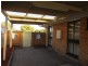 387 Colley Street, Lavington NSW 2641