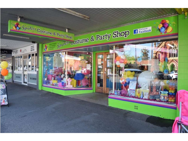 548 Olive Street, Albury NSW 2640