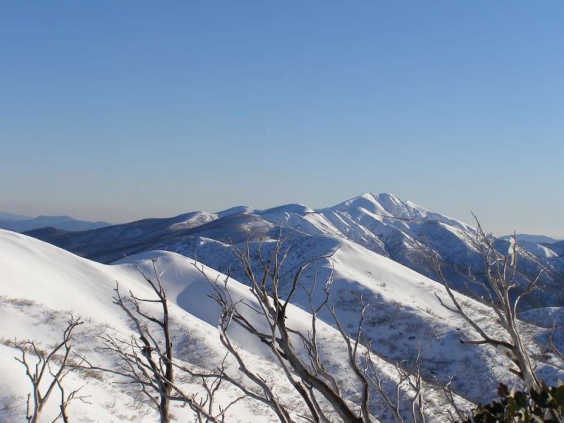 32 Churchill Place, Bright VIC 3741