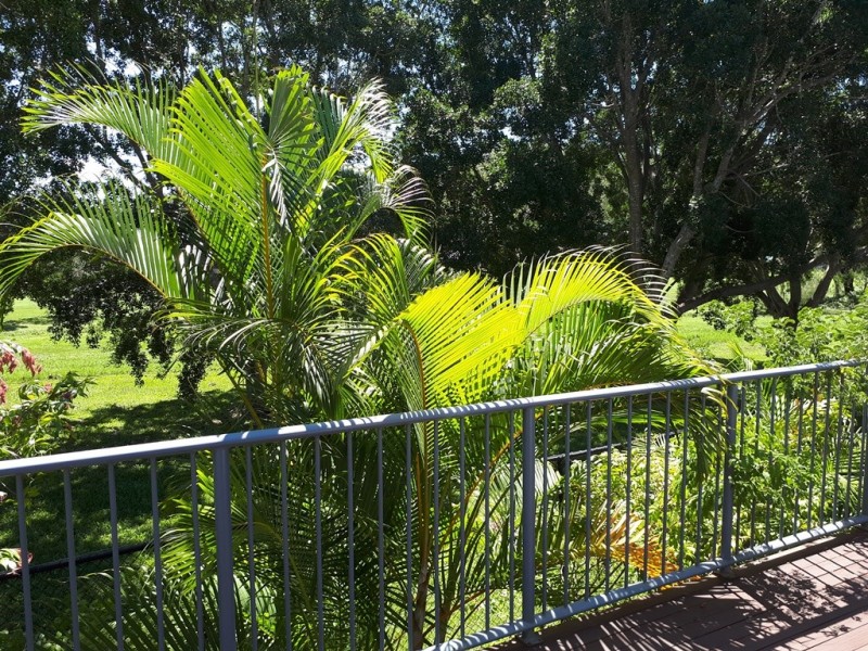 62 Franklin Drive, Mudgeeraba QLD 4213