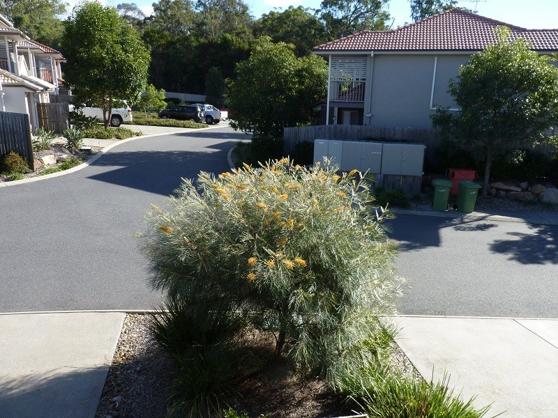 North Lakes QLD 4509