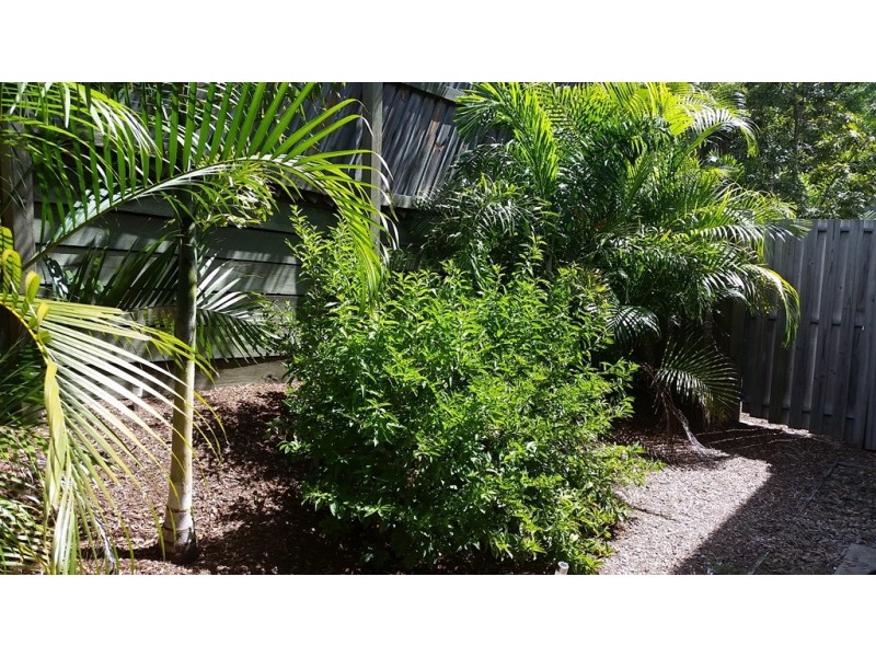 62 Franklin Drive, Mudgeeraba QLD 4213