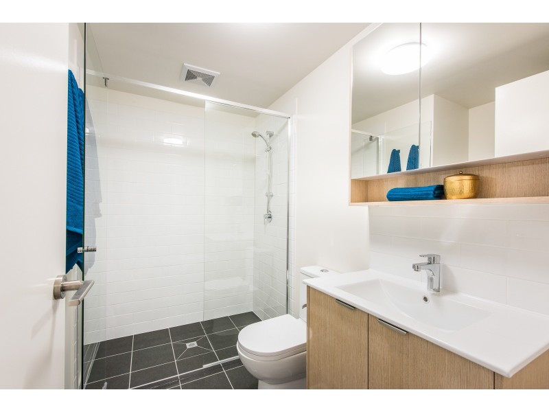 19 Talbot Street, Coorparoo QLD 4151