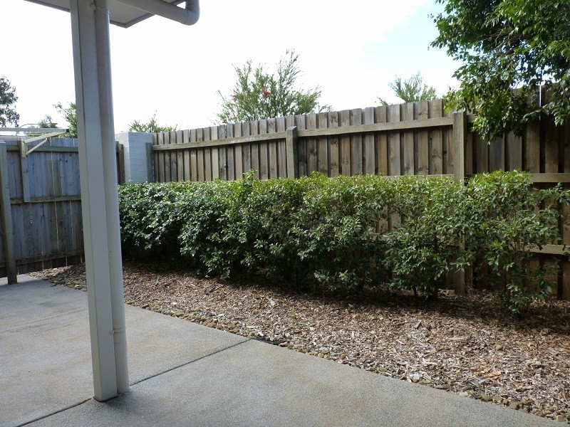 31/1 Archer Close, North Lakes QLD 4509