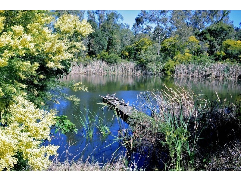 74/40 Hargreaves Road, Manly West QLD 4179