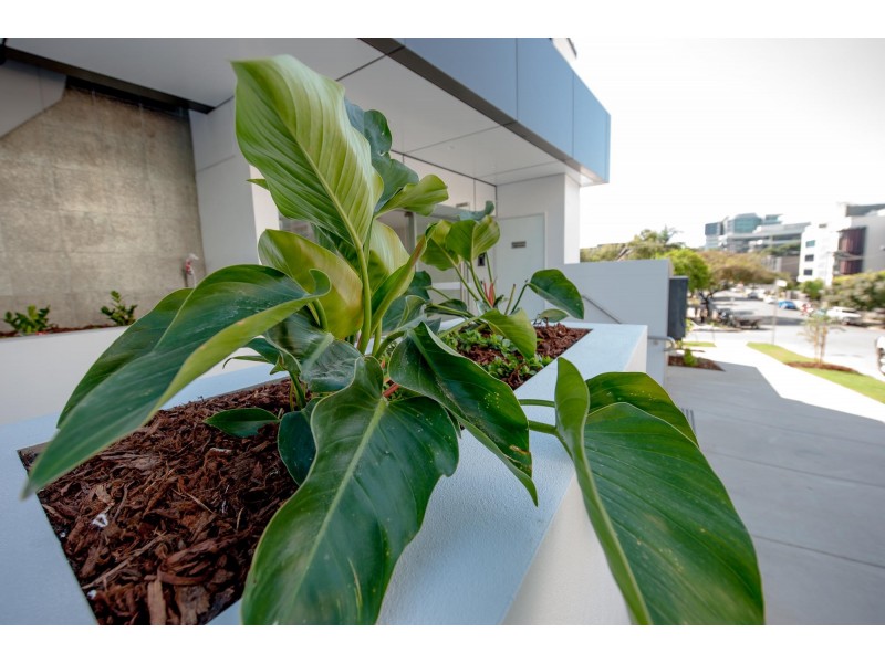 702/35 McDougall Street, Milton QLD 4064