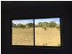 25 Northmarque street, Carseldine QLD 4034