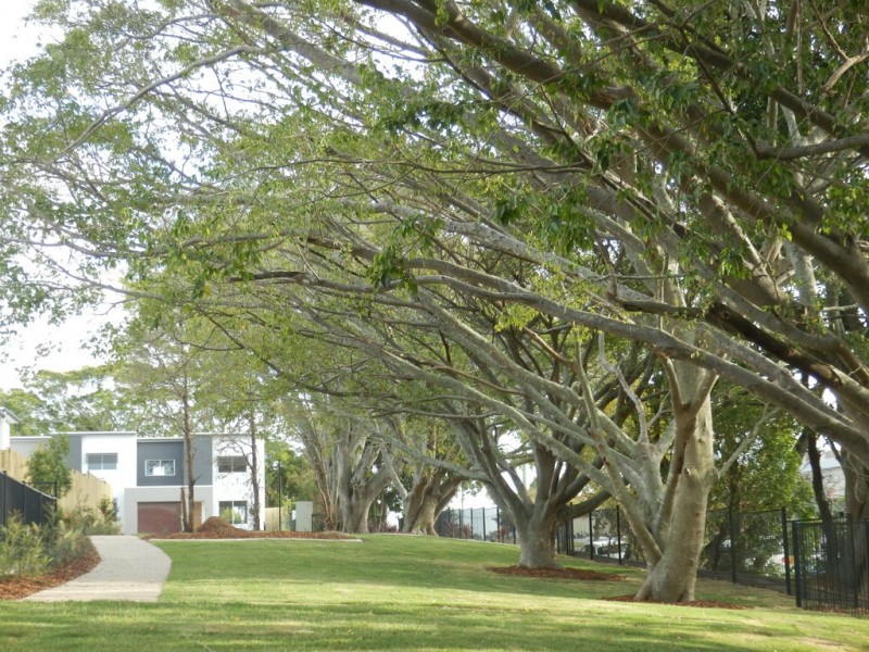 49/400 TINGAL RD, Wynnum QLD 4178