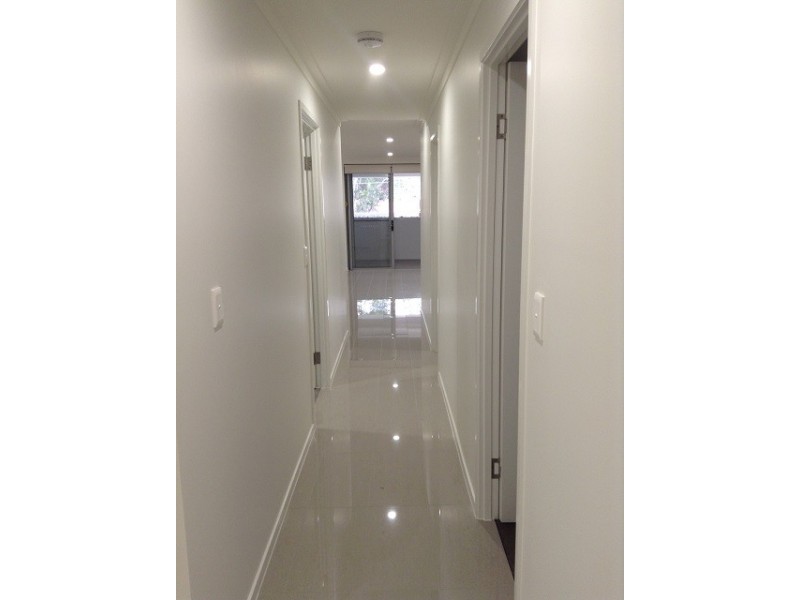 61 Oxford Street, Bulimba QLD 4171