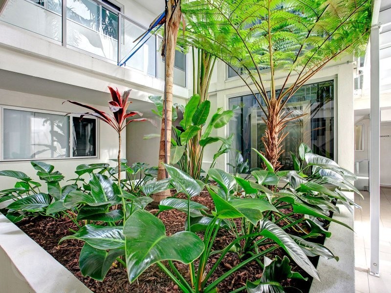 41 Beeston, Teneriffe QLD 4005