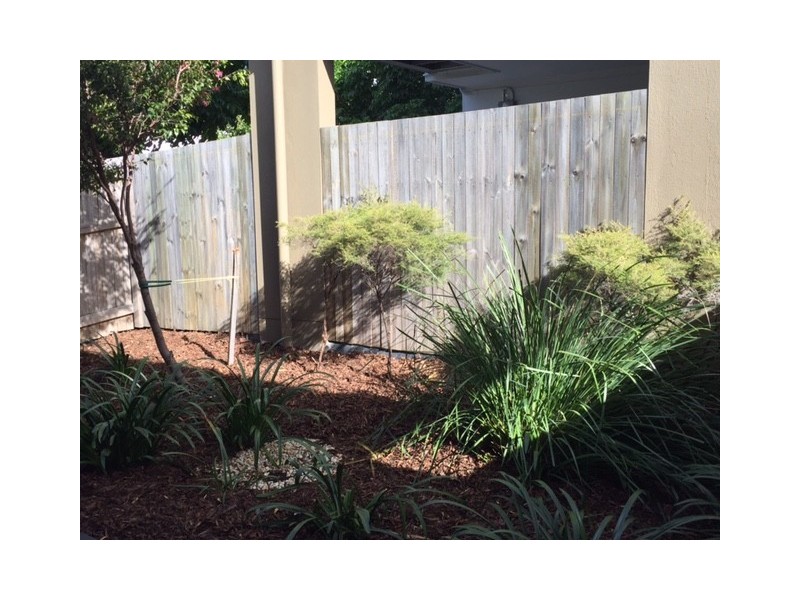 24/60 Cowie Rd, Carseldine QLD 4034