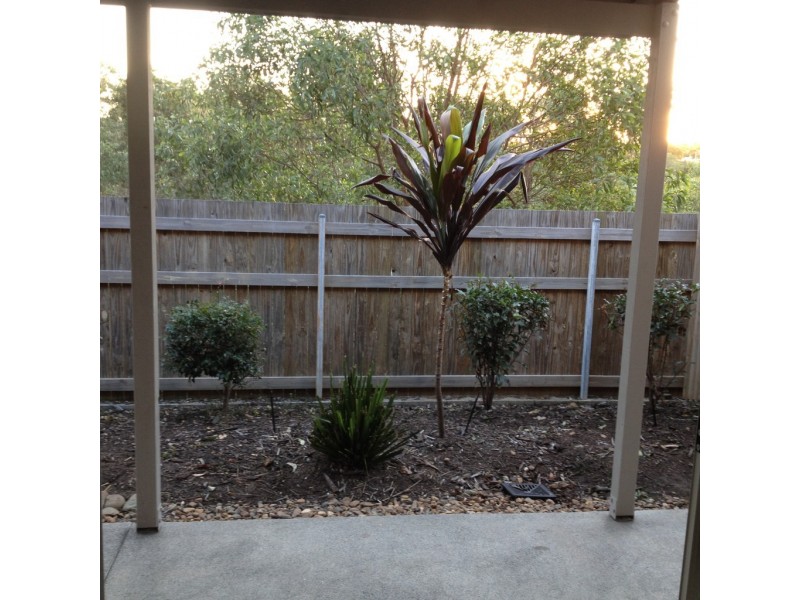 34 23 BLACKWELL STREET, Hillcrest QLD 4118