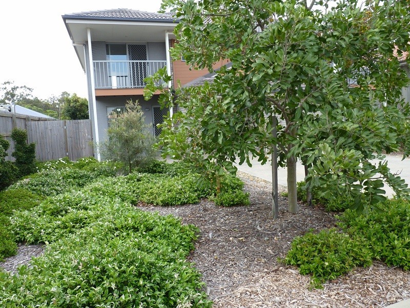 North Lakes QLD 4509