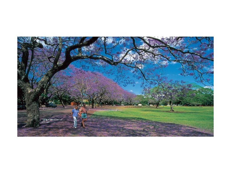 3 HOLLINS CRESCENT, New Farm QLD 4005