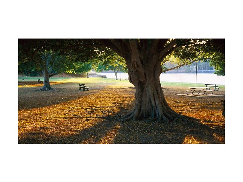 3 HOLLINS CRESCENT, New Farm QLD 4005