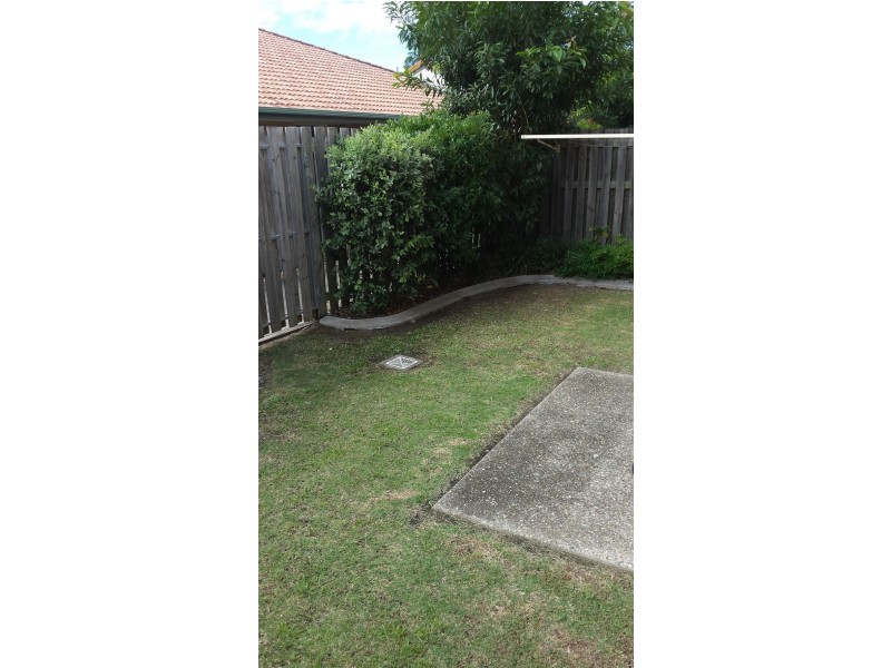 53 2 BOS DRIVE, Coomera QLD 4209