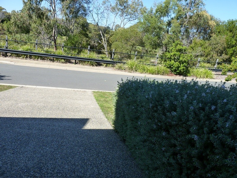 61 Cowen Terrace, North Lakes QLD 4509
