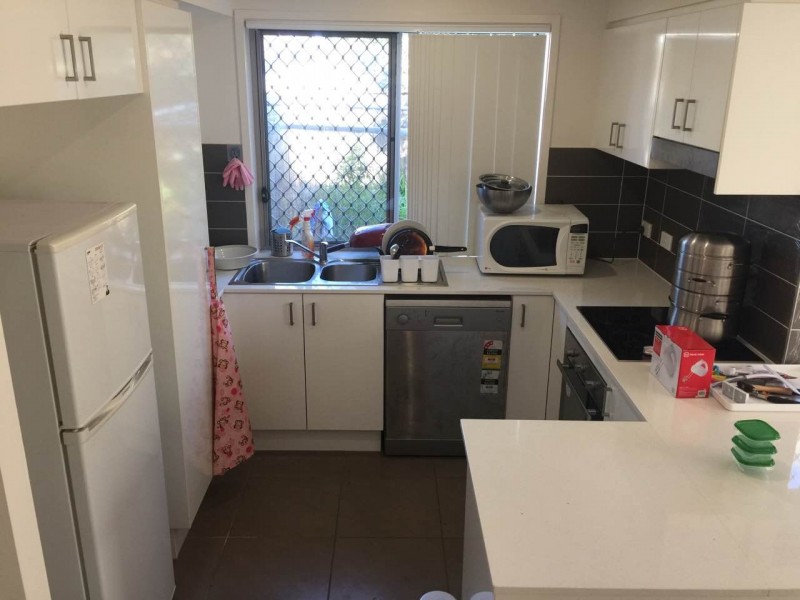 88 candytuft pl, Calamvale QLD 4116