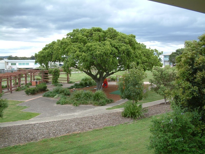 15/19 Cooper St, Murarrie QLD 4172